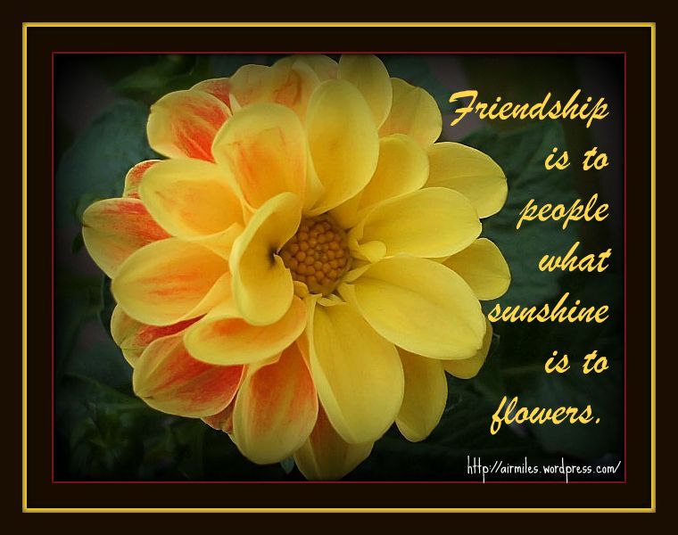 friendship quotes with flowers